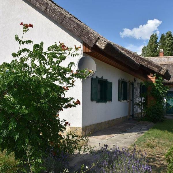 Boroka Tanya Villa Orgovany Luaran gambar